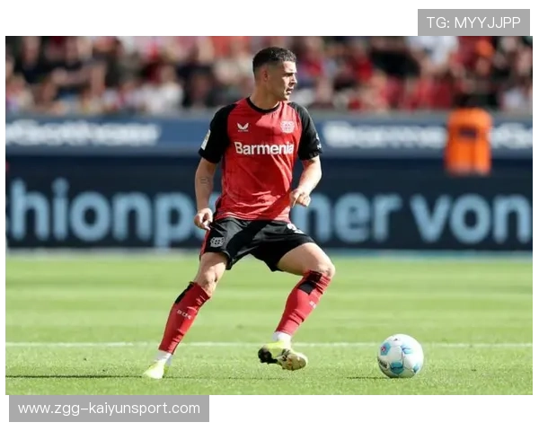 米兰推进后防引援，德拉古辛进入候选，德拉古米尔·米希克